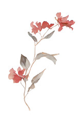 old paper textured red flowers, generative ai, flowers isolated on white