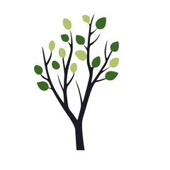 Green summer forest tree flat vector icon.