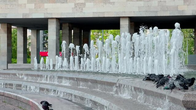 a flock of pigeons sits at the city fountain on a warm sunny day