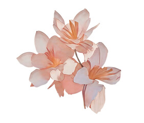 Obraz na płótnie Canvas paper flowers isolated on white, generative ai, flowers isolated on white