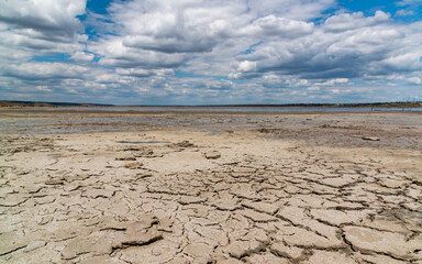 A dried and cracked layer of dead crustaceans Artemia salina and their yellow eggs on the bank of the