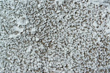 Crystals of self-precipitating common salt (sodium chloride) crystallized at the bottom