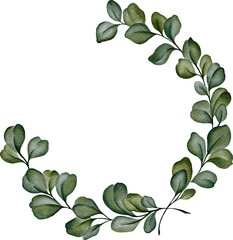 Eucalyptus circle wreath, green leaves branches isolated on white,  Minimalist greenery botanical leaves,  Wedding logo gentle round border design