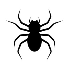 halloween ghost spider