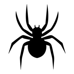 halloween ghost spider