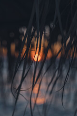 sunset vibes