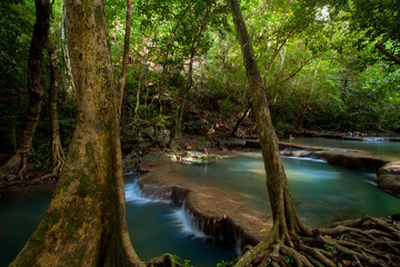 Nature beautiful deep forest waterfall.