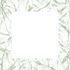 Delicate frame of wild oats. Meadow herbs, avena, spikelet, grass. Watercolor illustration of wild plants. Summer composition. For greeting, invitation template, celebration cards. Space for text