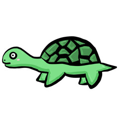turtle
