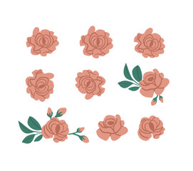 Vector set of pink roses petals isolated on white. Roses clipart. Vector illustration