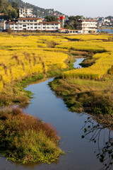 Naklejka premium landscape with river and houses