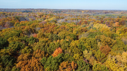Trees changing colors in the fall in the midwest