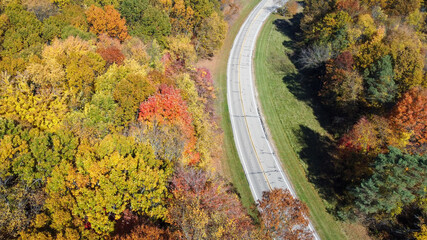 Winding road in autumn with leaves changing colors