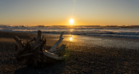 Greymouth, New Zealand, Karoo Beach at Sunset with tree stub