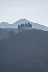 Silhouettes of a few trees in front of a mountain
