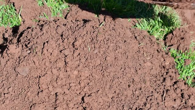 dirt garden soil on a pail close up of digging