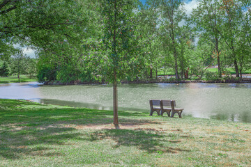 Lagoon in the park