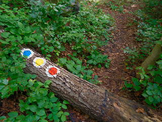 Late summer landscape on Via Transilvanica path, Romania, Europe
