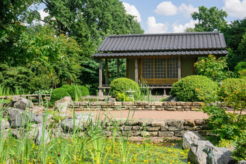 Fototapeta na wymiar japanese garden with a pond and a tea house
