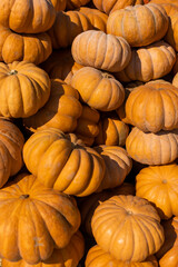pumpkins at the autumn market on the street