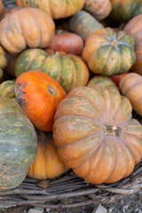 pumpkins at the autumn market on the street