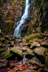 Obraz premium Burgbachwasserfall in Bad Rippoldsau-Schapbach