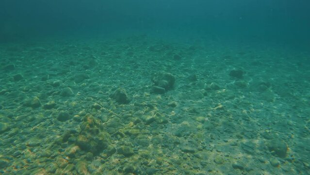 POV underwater shot, guy paddling his hands swims underwater over rocky seabed