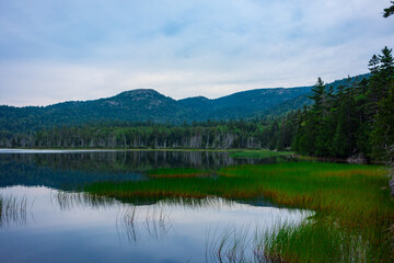Naklejka premium Pond in Acadia National Park. Picture taken on cloudy summer day.