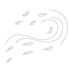 Vector black and white illustration of autumn leaves flying in the wind