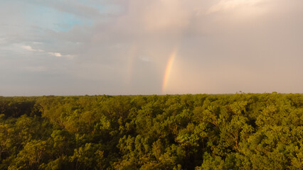 Amanecer en selva y bosque de la riviera maya con arcoíris en México. - obrazy, fototapety, plakaty