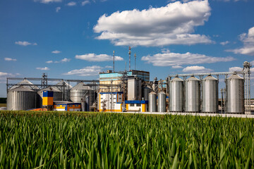 Agricultural Silos on the background of the field. Storage and drying of grains, wheat, corn, soy, sunflower against the blue sky with white clouds. Storage of the crop. - obrazy, fototapety, plakaty