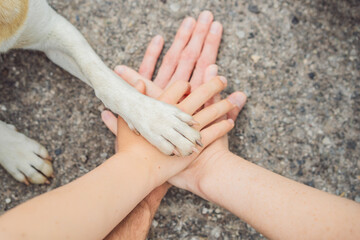 Human hands and dog paw as a team. Fight for animal rights, help animals
