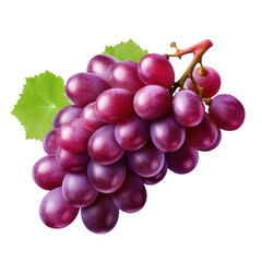 Fototapeta premium Grapes on transparent background