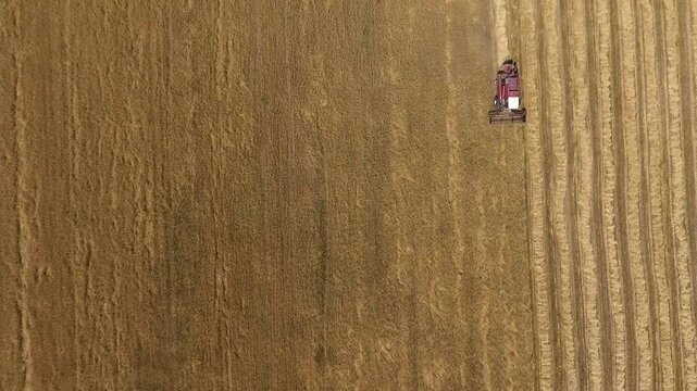 combines mowing wheat lined up in a row