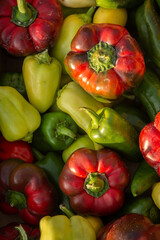 Fresh organic peppers background