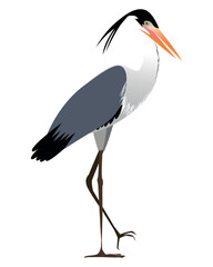 heron on a white background