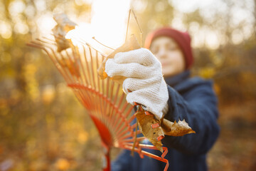 A close-up shot of a young guy wearing gloves adjusting a rake. Volunteer in the park. Cleaning leaves in autumn. Golden sunset.
