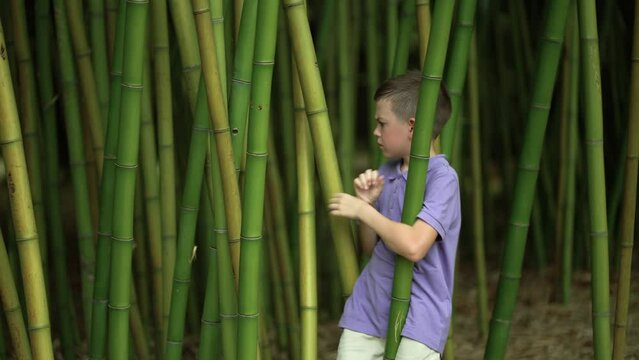 young tourist in a bamboo grove.