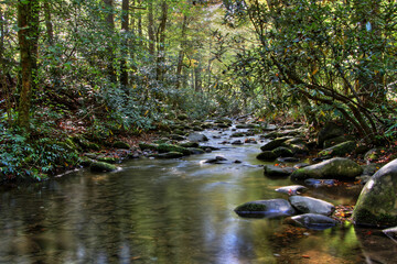 Mountain river in the Smoky Mountains National Park.