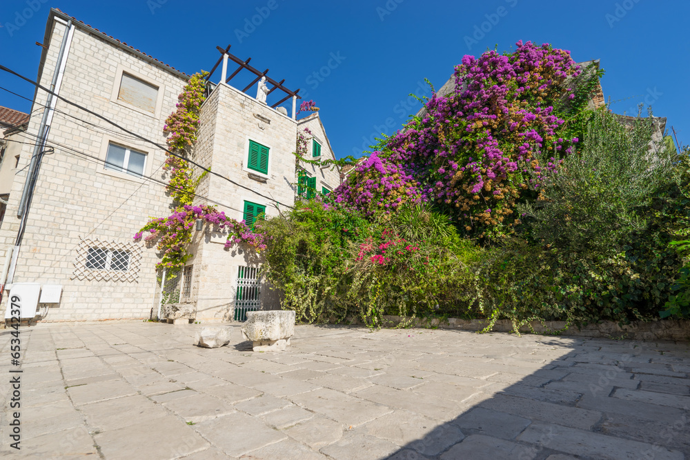 Canvas Prints Bougainvillea flowers in old town of Split in Dalmatia, Croatia