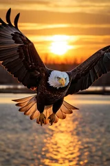 Schilderijen op glas An eagle flies in an open blue sky and on the horizon the sun begins to set. Generative AI © piai