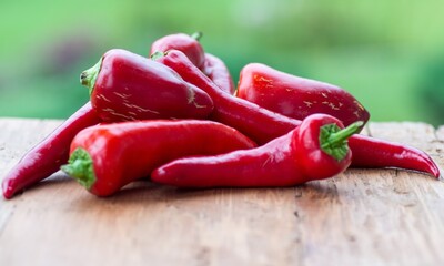 An anaheim pepper turning bright red on the plant
Green pepper on white background,Anaheim pepper Anaheim Peppers on white background