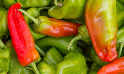 An anaheim pepper turning bright red on the plant
Green pepper on white background,Anaheim pepper Anaheim Peppers on white background