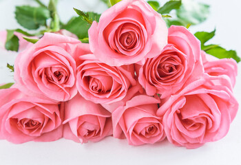 bouquet of pink roses