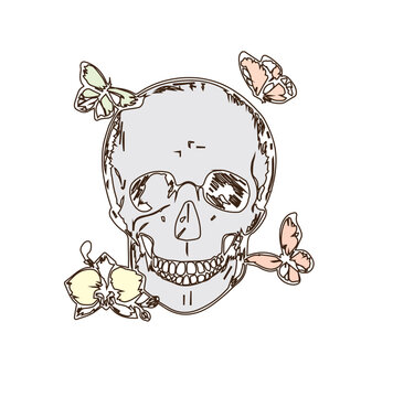 orchid flower and skull. A butterfly sits on a skull. Vector graphics. Sketch. hand drawing. Grunge skull paint in illustration design. 