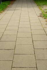 Fototapeta premium Modern Paved Path