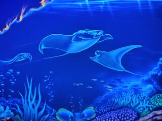 fish under water