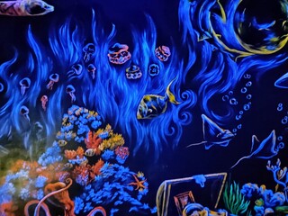 fish in aquarium