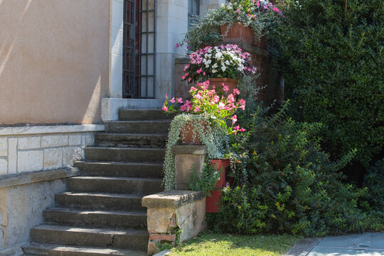 Nature and garden design: Nature stone stairway leading to the entrance door of a house at a hillside plot - decorated with pots of various blooming flowers , green plants and foliage plants