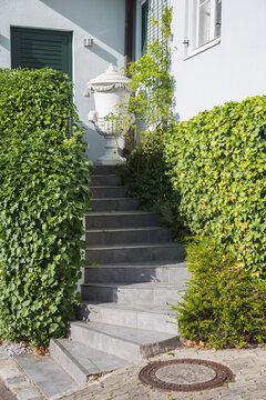 Nature and garden design: With flagstones paved stairway leading to the green entrance door of a house at a hillside plot - decorated with a white amphora  green plants, and climbing common ivy